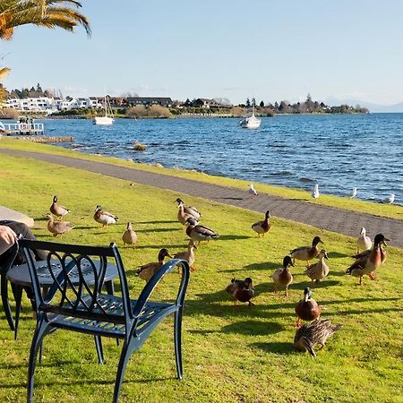 Oasis Beach Motel Taupo Exterior foto